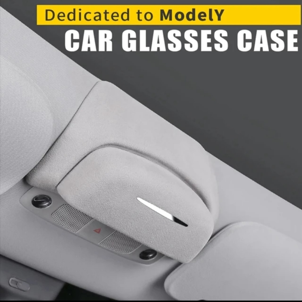Nwot Sunglass case for Tesla Y model